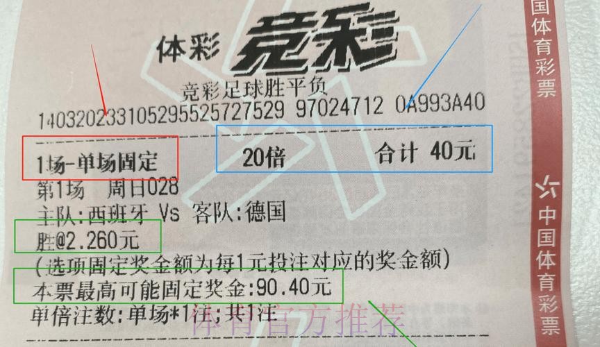 揭秘世界杯体育彩票投注技巧与攻略