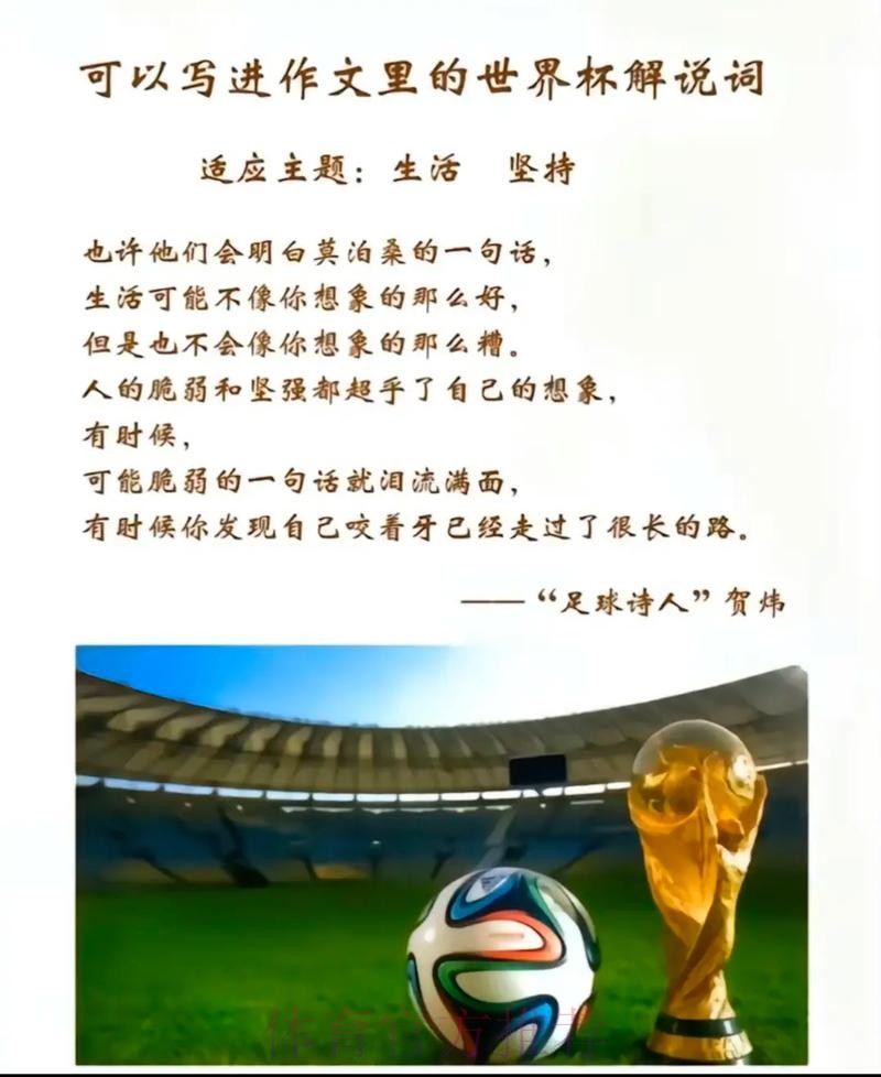 深入解析世界杯下注的真正含义及其影响